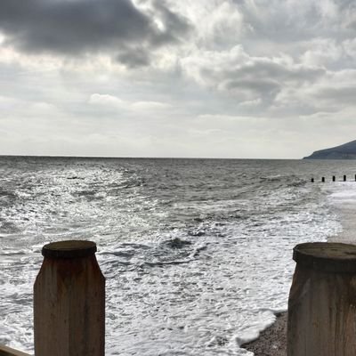 ellosabo's profile picture. 