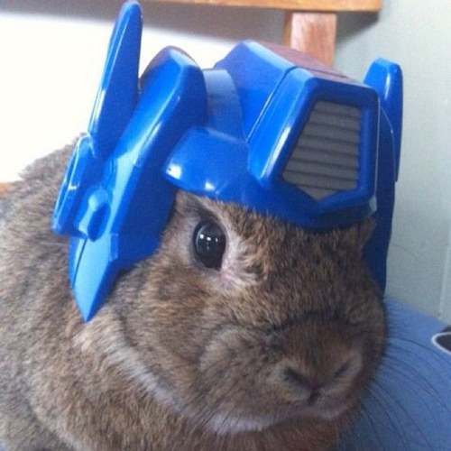 Spleenzorio's profile picture. I make YouTube videos that nobody watches. Check out my channel for drone cinematic masterpieces, vlogs, and the occasional unboxing