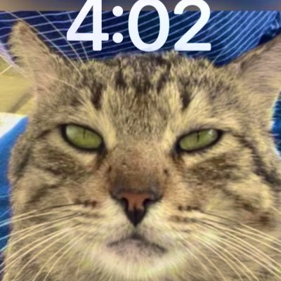 Rubeng_5's profile picture. Fornais♥️