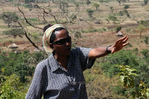 'A Cup of Coffee Needs a Hundred Hands' a documentary about Ethiopia's first female coffee producer and her humanitarian efforts by Martin Bartelt