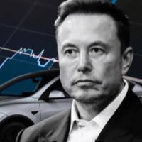 Management X Tesla (@x_tesla8410) 's Twitter Profile