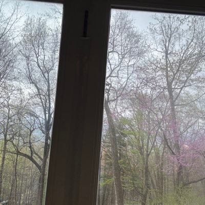 countyline1991's profile picture. AI Engineer