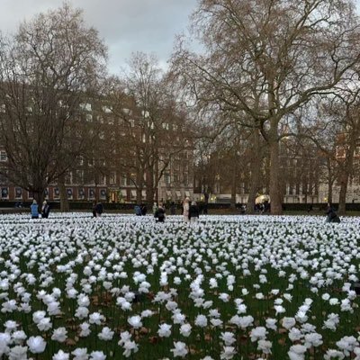 TLuuluuu's profile picture. 