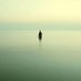 𝜗ৎ (@zyurielphalais) Twitter profile photo 𝜗ৎ (@zyurielphalais) Twitter profile photo