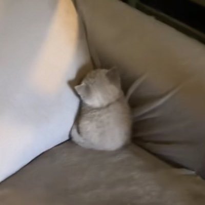 1975Aphrodite's profile picture. 