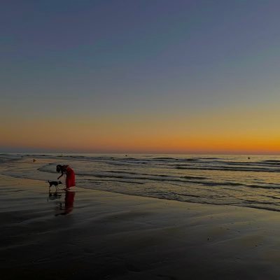 BrsLau's profile picture. ପ ࣪ . ִֶָ ๋𖦹 ๑