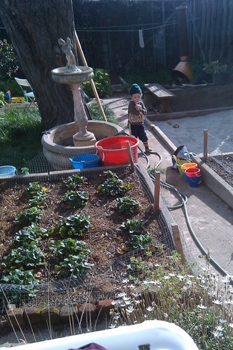 bayviewlocal's profile picture. 