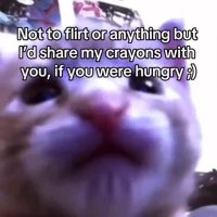 Throwaway65179 (@throwaway682366) 's Twitter Profile