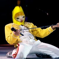 VanillaShillaGorilla (@3m3m3s3) 's Twitter Profile Photo VanillaShillaGorilla (@3m3m3s3) 's Twitter Profile Photo