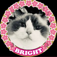いむ (@snowwoman_y) 's Twitter Profile Photo いむ (@snowwoman_y) 's Twitter Profile Photo