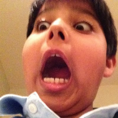 gadbadd's profile picture. certified nonsensical posts, all day every day.