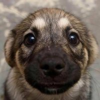 bones (@buriedbones__) 's Twitter Profile