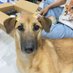 Perritos que curan tu depresión 🐶 (@perritos_qctd) Twitter profile photo Perritos que curan tu depresión 🐶 (@perritos_qctd) Twitter profile photo