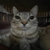 NotTheSharpestTool (@notthesharpiest) Twitter profile photo NotTheSharpestTool (@notthesharpiest) Twitter profile photo