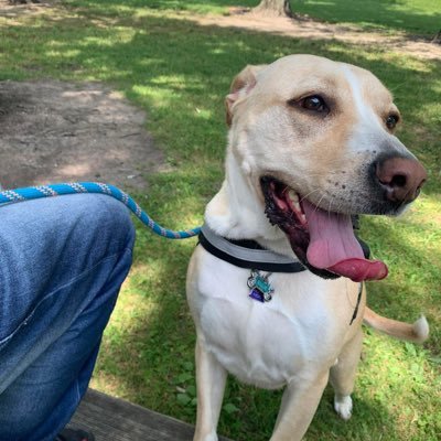 KatieRupert20's profile picture. I love being around people and kids I work with kids