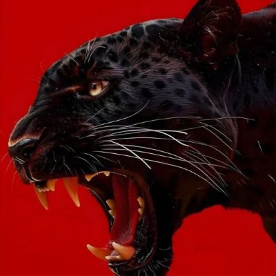 mwanrinicky's profile picture. Wildlife Officer Morogoro district 🧑‍💻 
Conservation &Tourism Expert🐘🐊
Sokoine University Alumni 🎓
Bsc.Wildlife Management📝