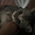cindy (@cindaymeow) Twitter profile photo cindy (@cindaymeow) Twitter profile photo