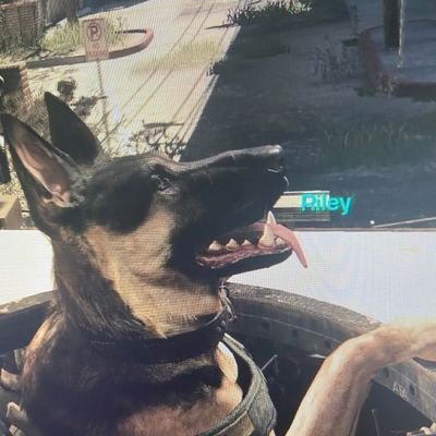 Van4sa's profile picture. Tengo 14
soy extrovertida
fan de cod
amo la poesia