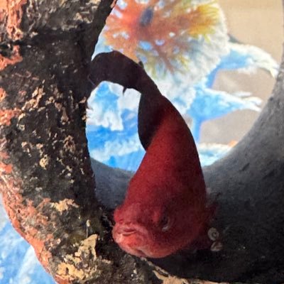 m_ptasz4's profile picture. 