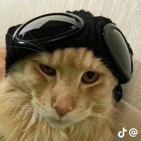 czy.lofc (@clarkixc) 's Twitter Profile Photo czy.lofc (@clarkixc) 's Twitter Profile Photo