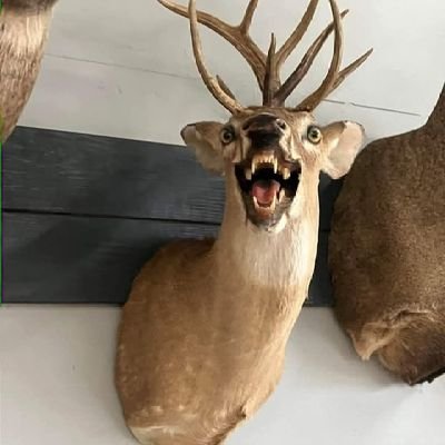 chuki_mend60833's profile picture. 