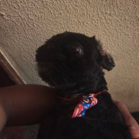 Moreno Juan (@divax_ii) 's Twitter Profile