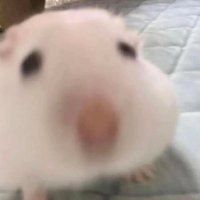 터벅 (@teobeog_e) 's Twitter Profile Photo