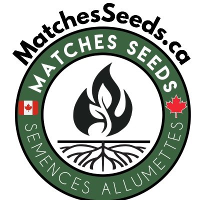 🍁Made in Canada 🇨🇦
🌾 High-Quality Seeds 🌱
🫛 Abundant Quantity 🍿
🧑🏻🌾 Reasonable Pricing 🏷️
