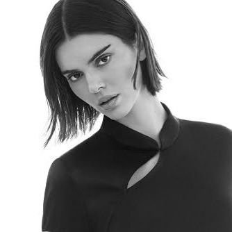 Cuenta secundaria de @kendalljenarg exclusiva para contenido multimedia de la modelo Kendall Jenner.