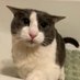 dry cat (@ddrycat) Twitter profile photo dry cat (@ddrycat) Twitter profile photo