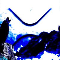 XRPcryptowolf (@pcryptowol24087) 's Twitter Profile
