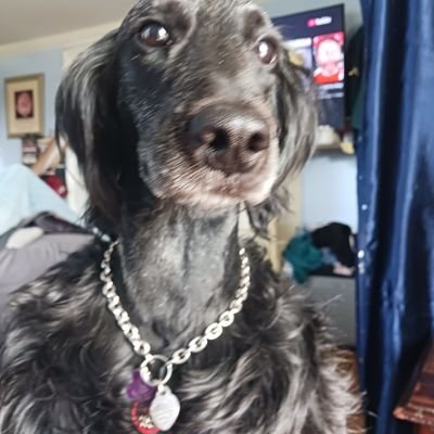 TreeManTreeExpt's profile picture. I'll have to work on that this would take deep thought.