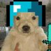 zantigod (@zantigod) Twitter profile photo