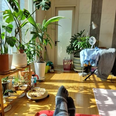 kssktwktw's profile picture. 