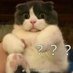 MewJaaa (@mew_bmr2) Twitter profile photo MewJaaa (@mew_bmr2) Twitter profile photo