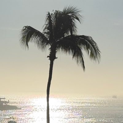 chris_vasilas's profile picture. 