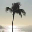 Chris Vasilas - @chris_vasilas - Twitter