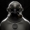 Emira2022's profile picture. 