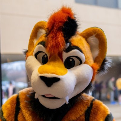 23 - Photography, laconic cat, will eat your french fries - 🔞 Sometimes thirsty