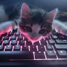 HabibiModels's profile picture. New Rig Modeler in @Roblox
Discord Name : habibisugc

Commissions On ( Cheap Prices Until I Become Pro )