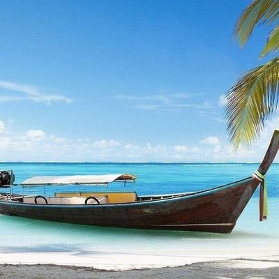 ShashiKaly47071's profile picture. 