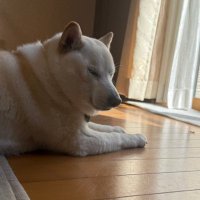 cowper伊藤₿ (@12_acr) 's Twitter Profile