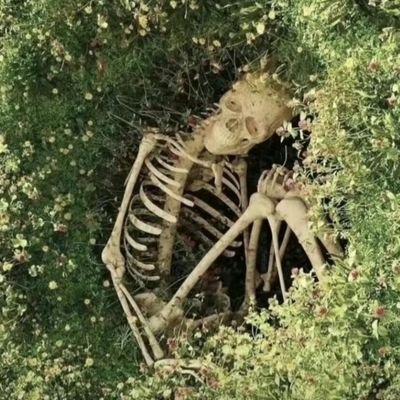 killopp256's profile picture. 