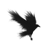 𝑬𝑹𝑬𝑩𝑼𝑺 (@mvrder0fcr0ws) Twitter profile photo 𝑬𝑹𝑬𝑩𝑼𝑺 (@mvrder0fcr0ws) Twitter profile photo
