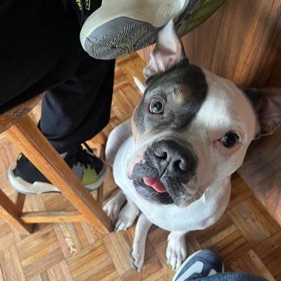 RaymonHernandez's profile picture. Mexicano, naco, amante de la tranquilidad, pata de perro y padre de una princesa “chula”