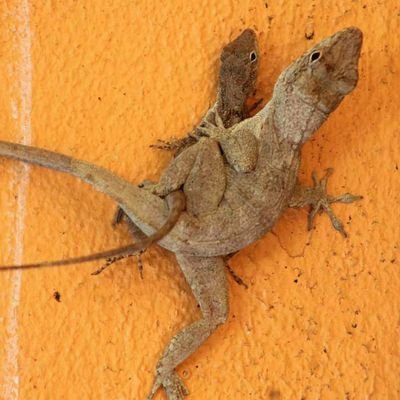 sextoys69138795's profile picture. 