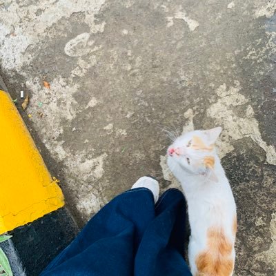 cieilahiyou's profile picture. lagi pengen naik burung unta