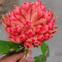 Murad2199571's profile picture. Love