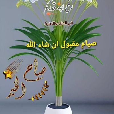 YK60401's profile picture. 