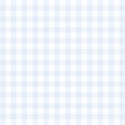 #WILDBLUE ⟡.· 絶対合格してわぶに会いにいくっ🪽♡